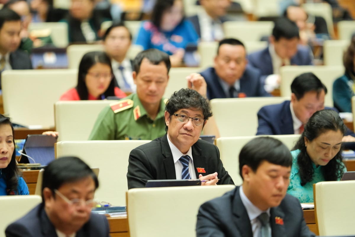 C&aacute;c đại biểu dự phi&ecirc;n họp - Ảnh: Quochoi.vn