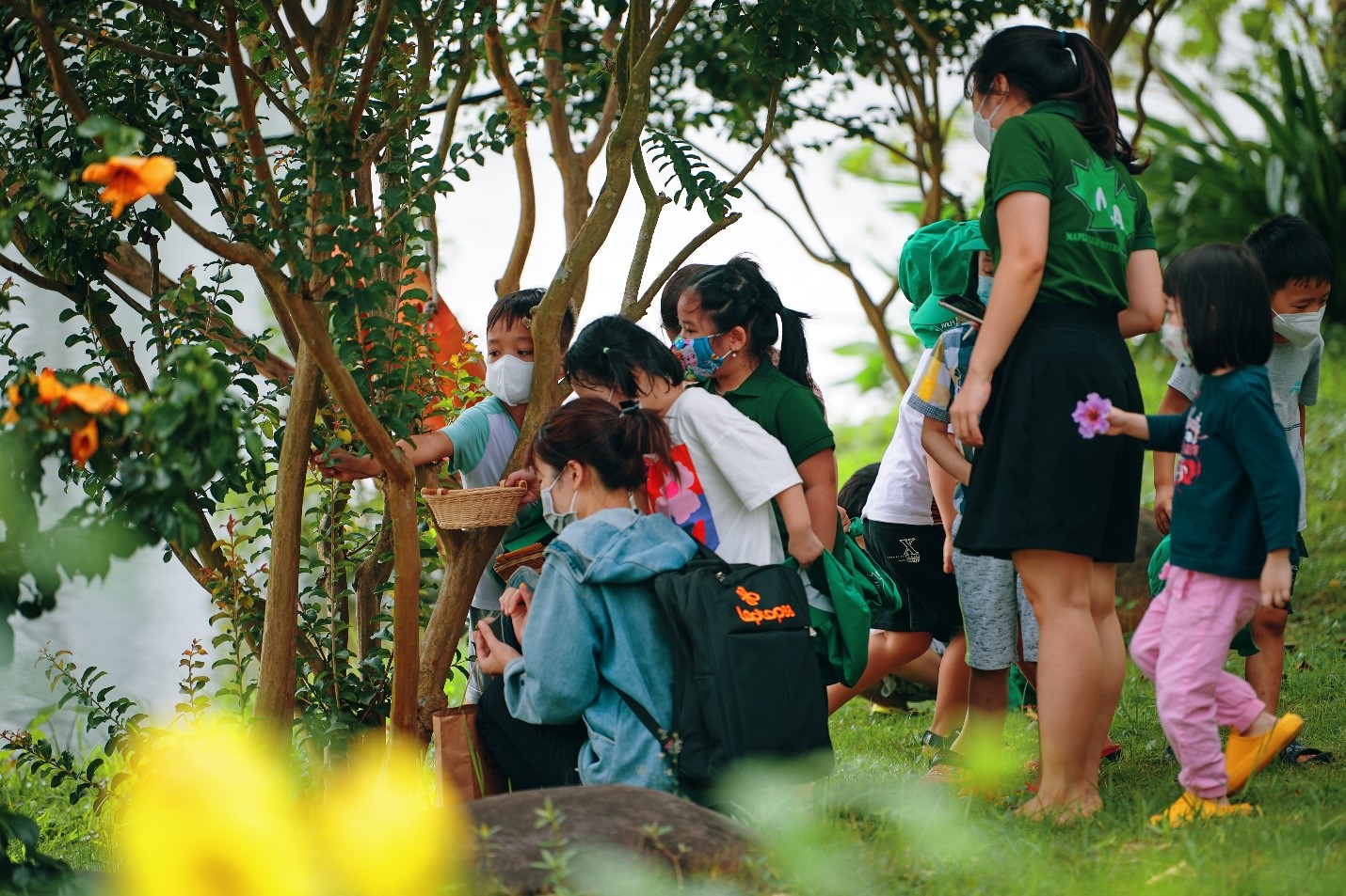 Trẻ em bắt ve trong c&ocirc;ng vi&ecirc;n.