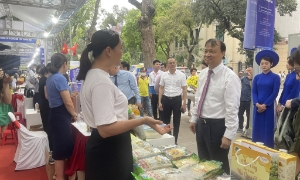 Hình thành chuỗi liên kết thúc đẩy tiêu thụ hàng Việt bền vững
