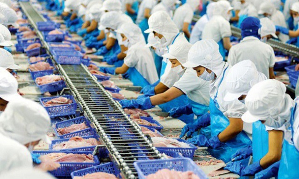 Các doanh nghiệp xuất khẩu cá tra Việt Nam đang đạt nhiều kết quả thuận lợi trong quý I/2022