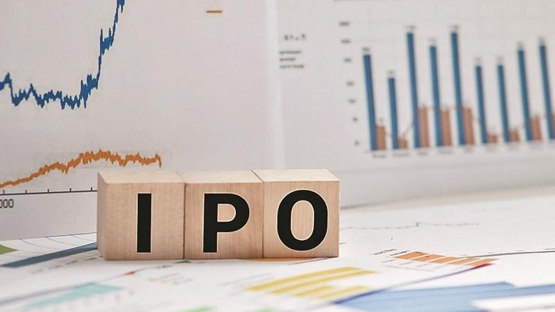 Reasons behind slow equitization and divestment of State capital