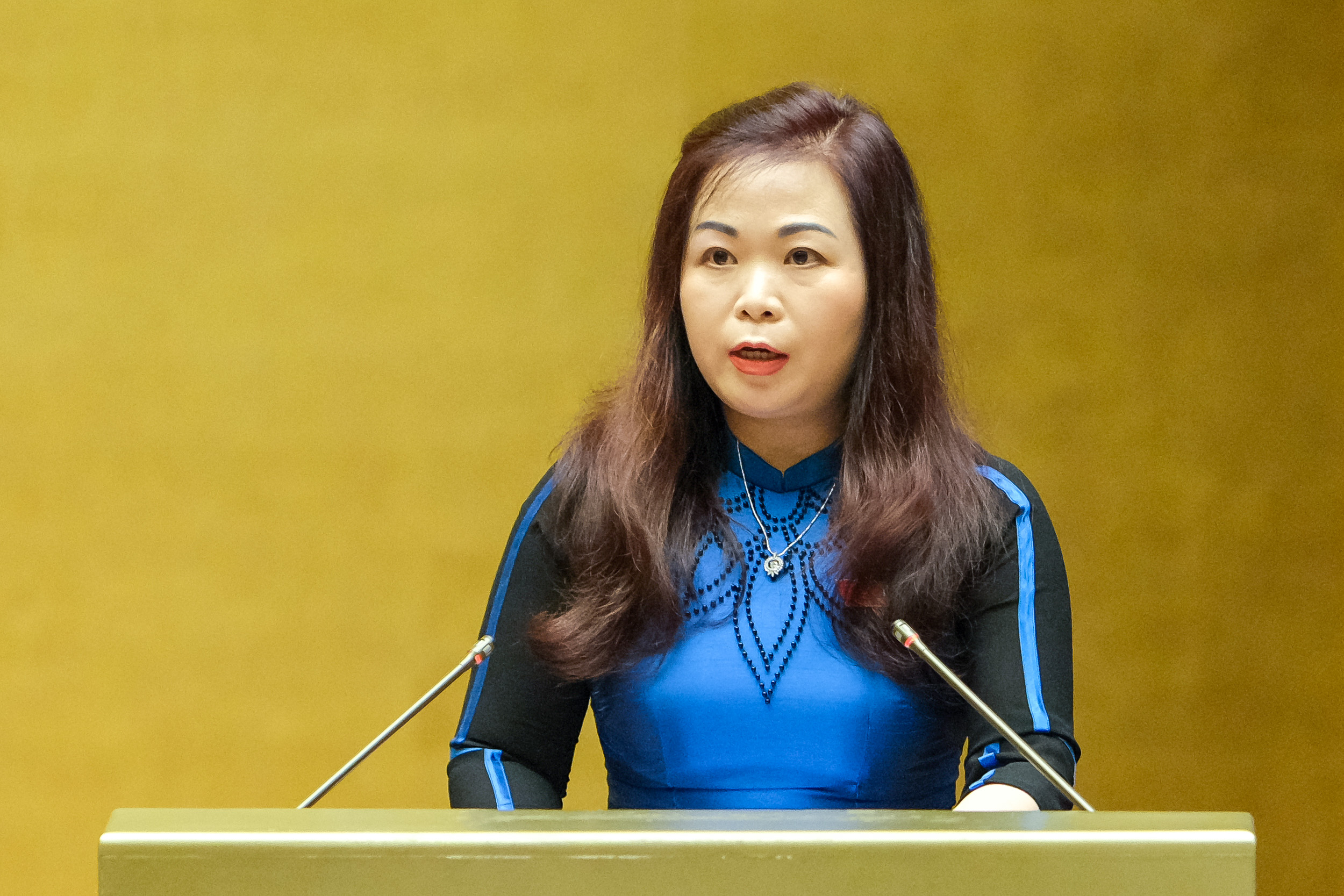 Phó Chủ nhiệm Ủy ban Tài chính, Ngân sách của Quốc hội Vũ Thị Lưu Mai - Ảnh: Qucohoi.vn
