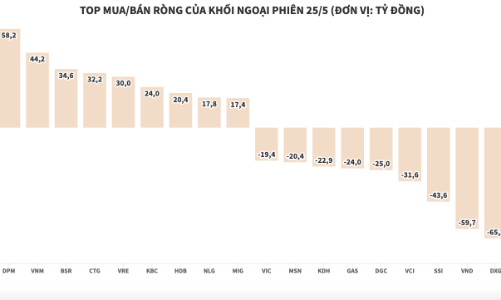 Khối ngoại tiếp tục móc “hầu bao” để gom cổ phiếu ngành phân bón