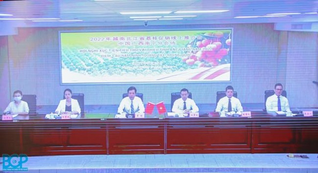 Hình ảnh tại điểm cầu Vân Nam, Trung Quốc.