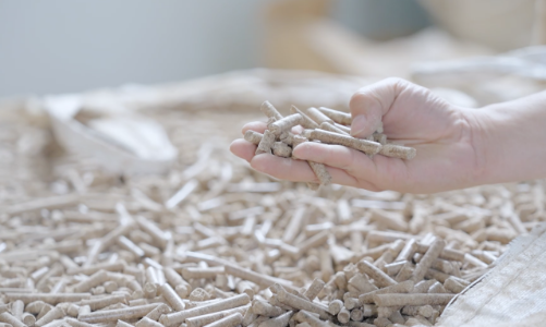 Chung tay ứng phó với biến đổi khí hậu 