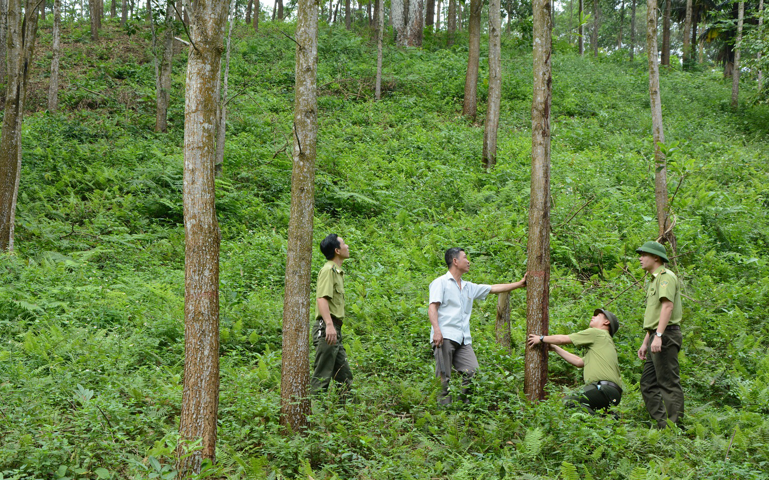 Ảnh minh họa