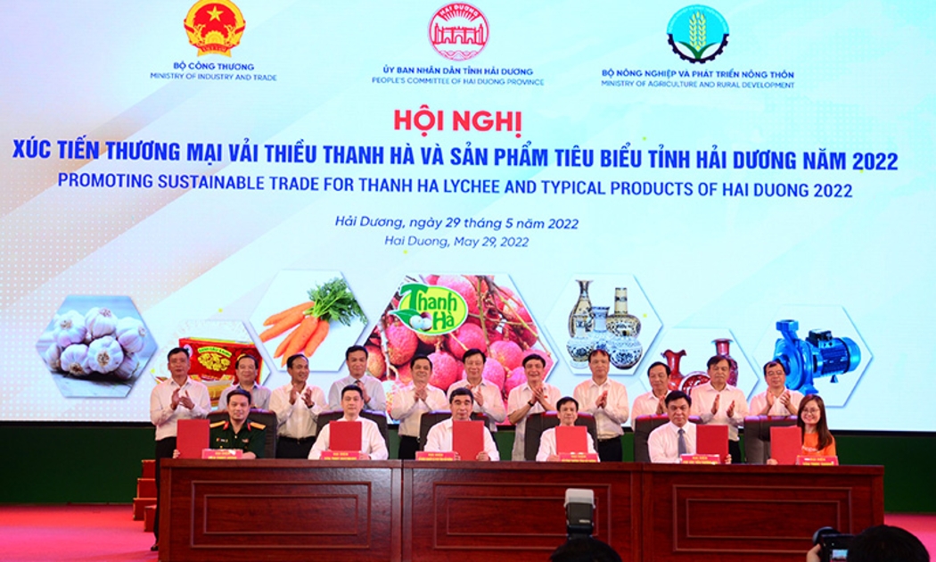 Ký kết giao thương tiêu thụ vải thiều sản phẩm tiêu biểu tỉnh Hải Dương qua các sàn thương mại điện tử - Ảnh: Việt Tuấn