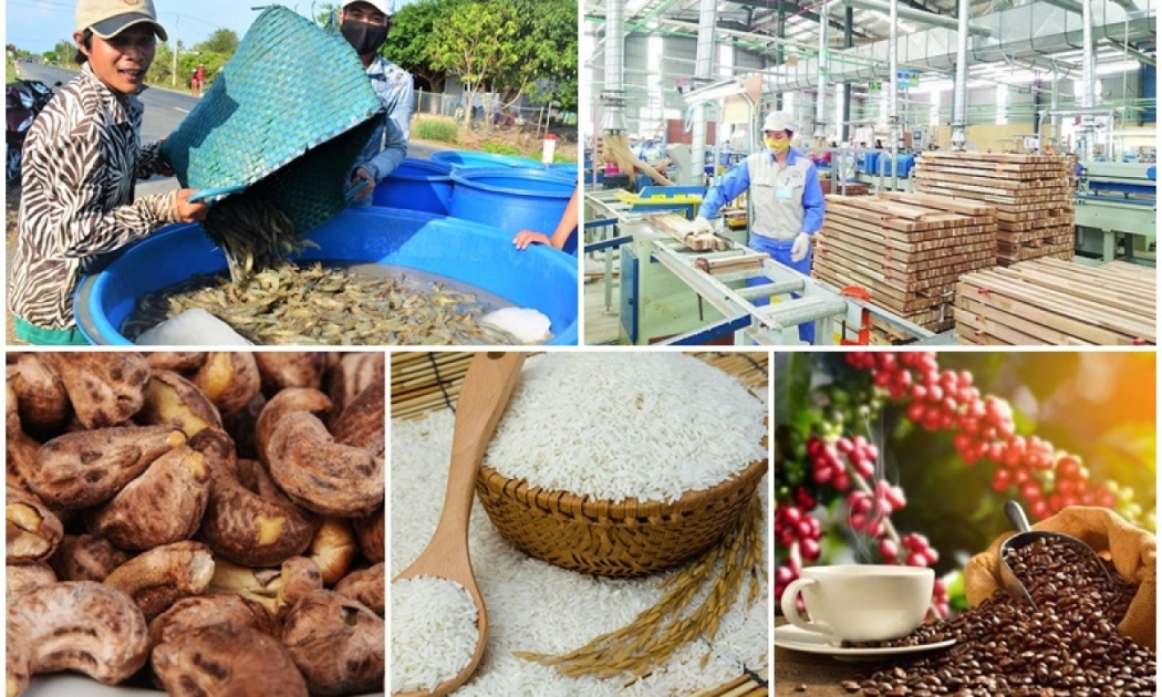 Kim ngạch xuất khẩu nông sản tăng cao.