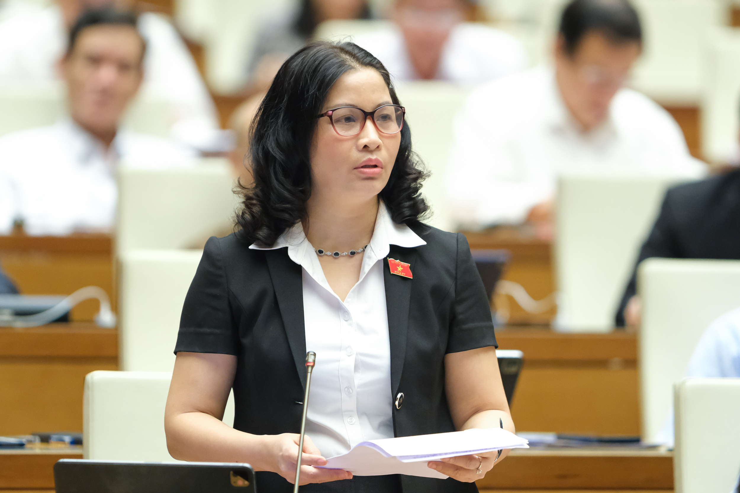 Đại biểu Nguyễn Thị Lan (H&agrave; Nội)