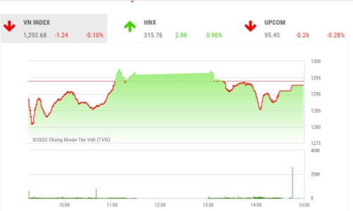 Thị trường đang phân hoá rất mạnh, cơ hội giải ngân ngắn hạn vẫn còn