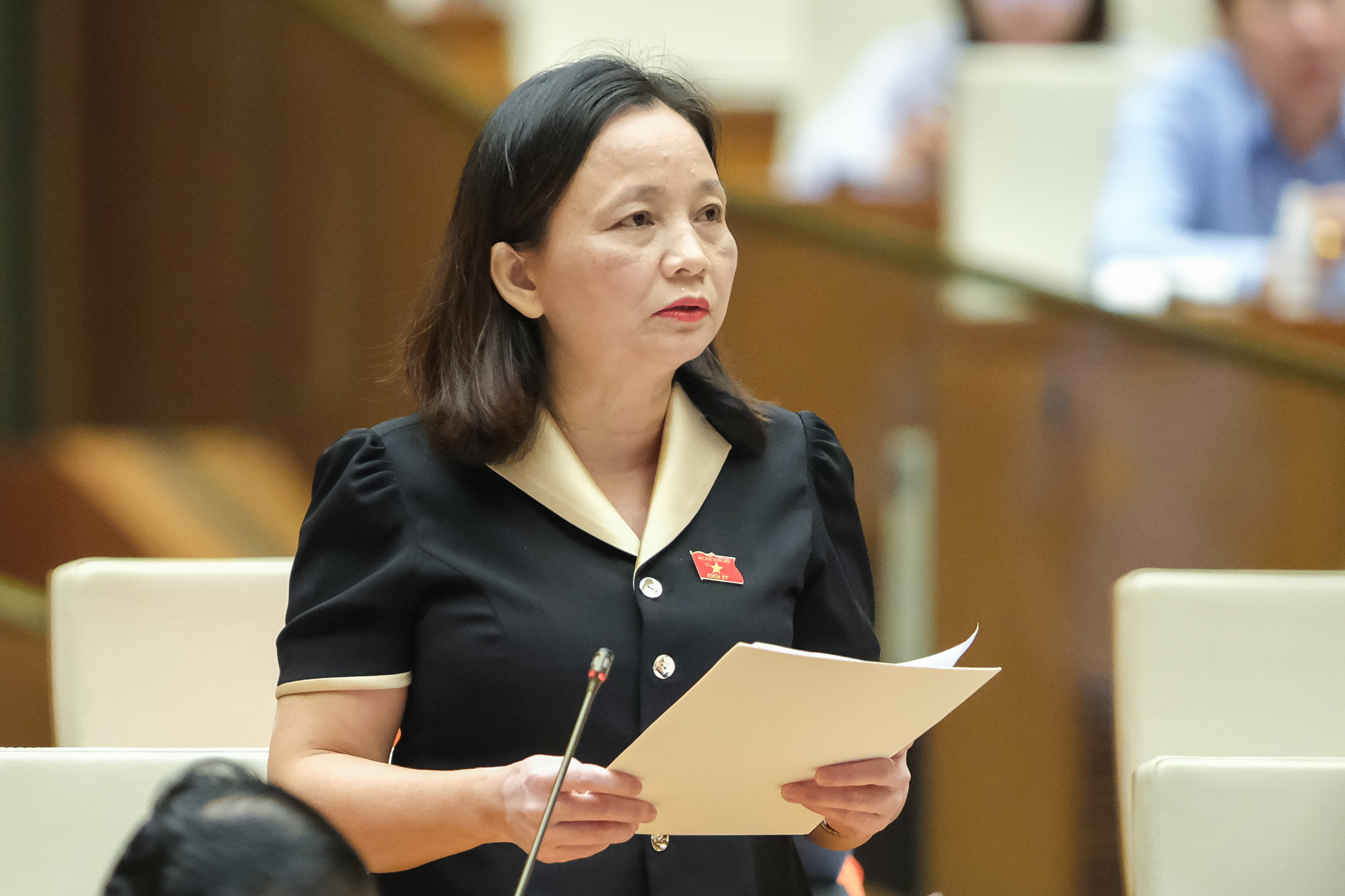 Đại biểu Cầm Thị Mẫn (Thanh Ho&aacute;)