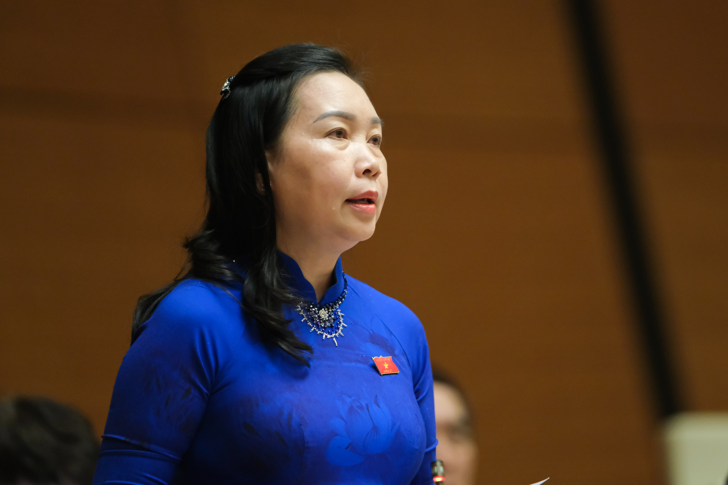 Đại biểu Lý Tiết Hạnh (Bình Định) - Ảnh: Quochoi.vn