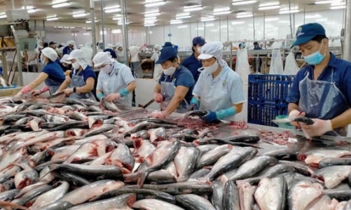 Thủy sản có dấu hiệu “hụt hơi”, xuất khẩu tôm dự báo tăng trưởng chậm trong quý 2