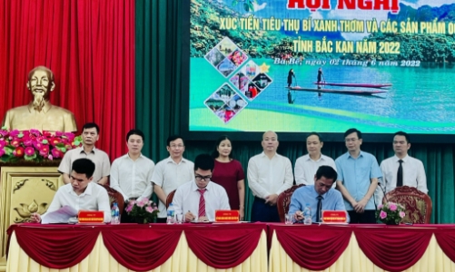 Bắc Kạn tổ chức hội nghị xúc tiến tiêu thụ bí xanh thơm