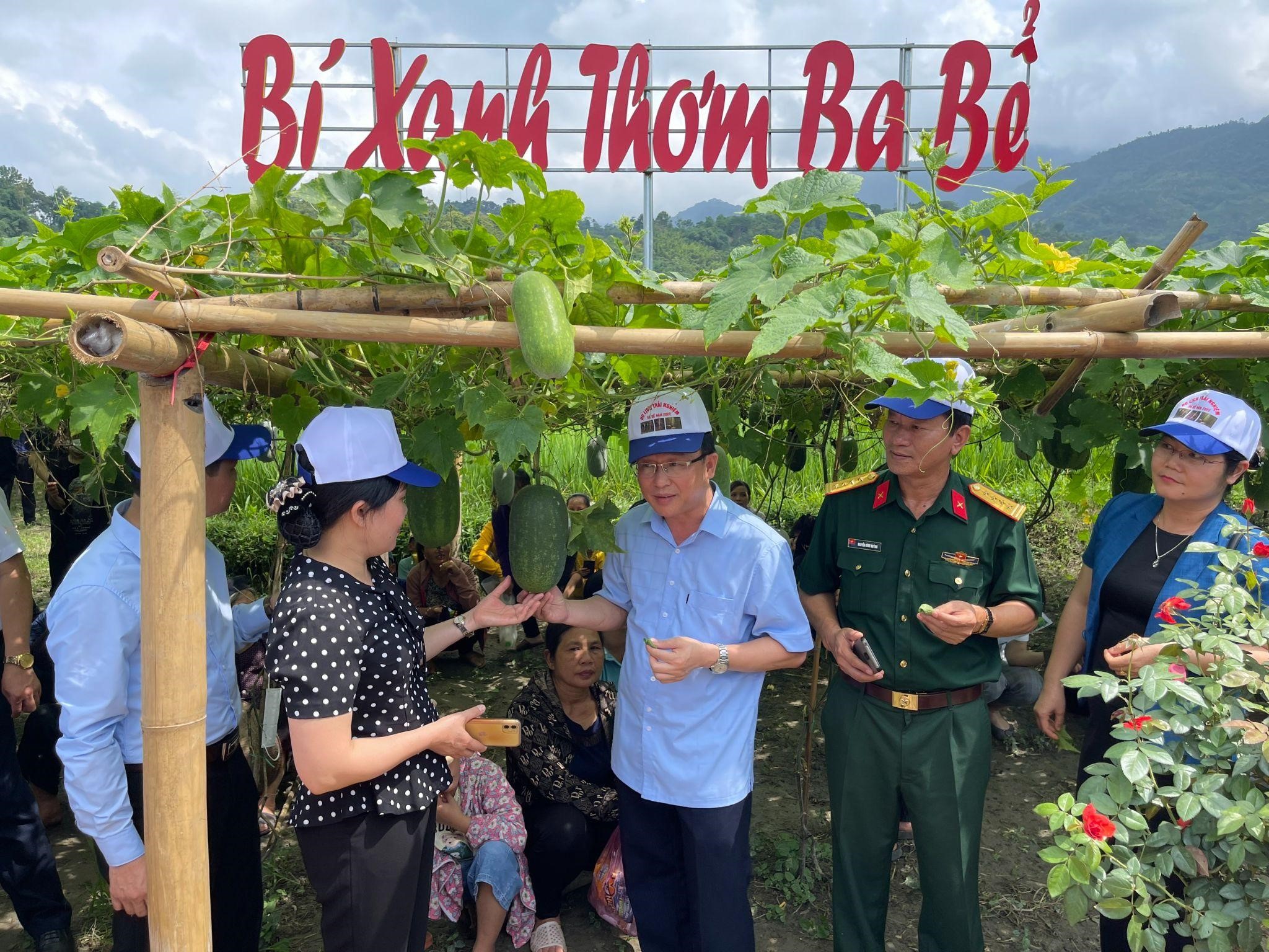 B&iacute; xanh thơm l&agrave; sản phẩm nổi bật của Bắc Kạn