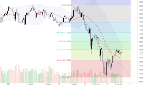 Blog chứng khoán: Xử lý theo danh mục, đừng nhìn chỉ số