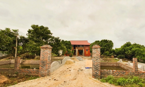 Hải Phòng mạnh tay xử lý vi phạm Luật đất đai tại Nông trường Quý Cao