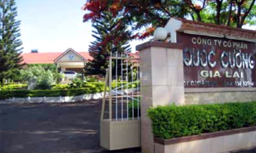 Sau khi thanh tra vào cuộc, Quốc Cường Gia Lai bị xử phạt 2,3 tỷ đồng 