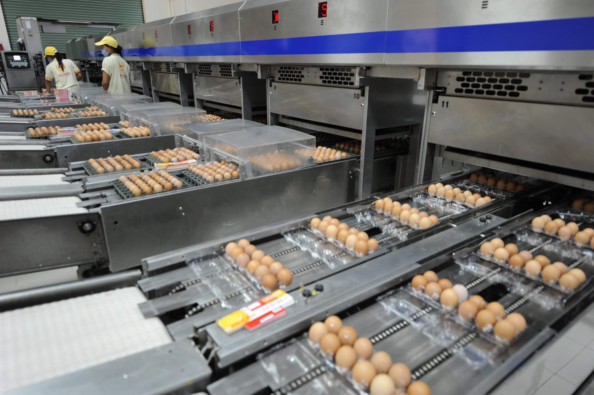 Hiện nay gi&aacute; trứng g&agrave;, vịt trong chương tr&igrave;nh b&igrave;nh ổn thị trường kh&aacute; thấp, ch&ecirc;nh lệch nhiều so với gi&aacute; trứng b&aacute;n ở&nbsp;thị trường.