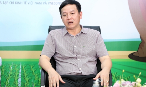 Cục Bảo vệ Thực vật: Vấn nạn phân bón giả gây nhiều hệ lụy