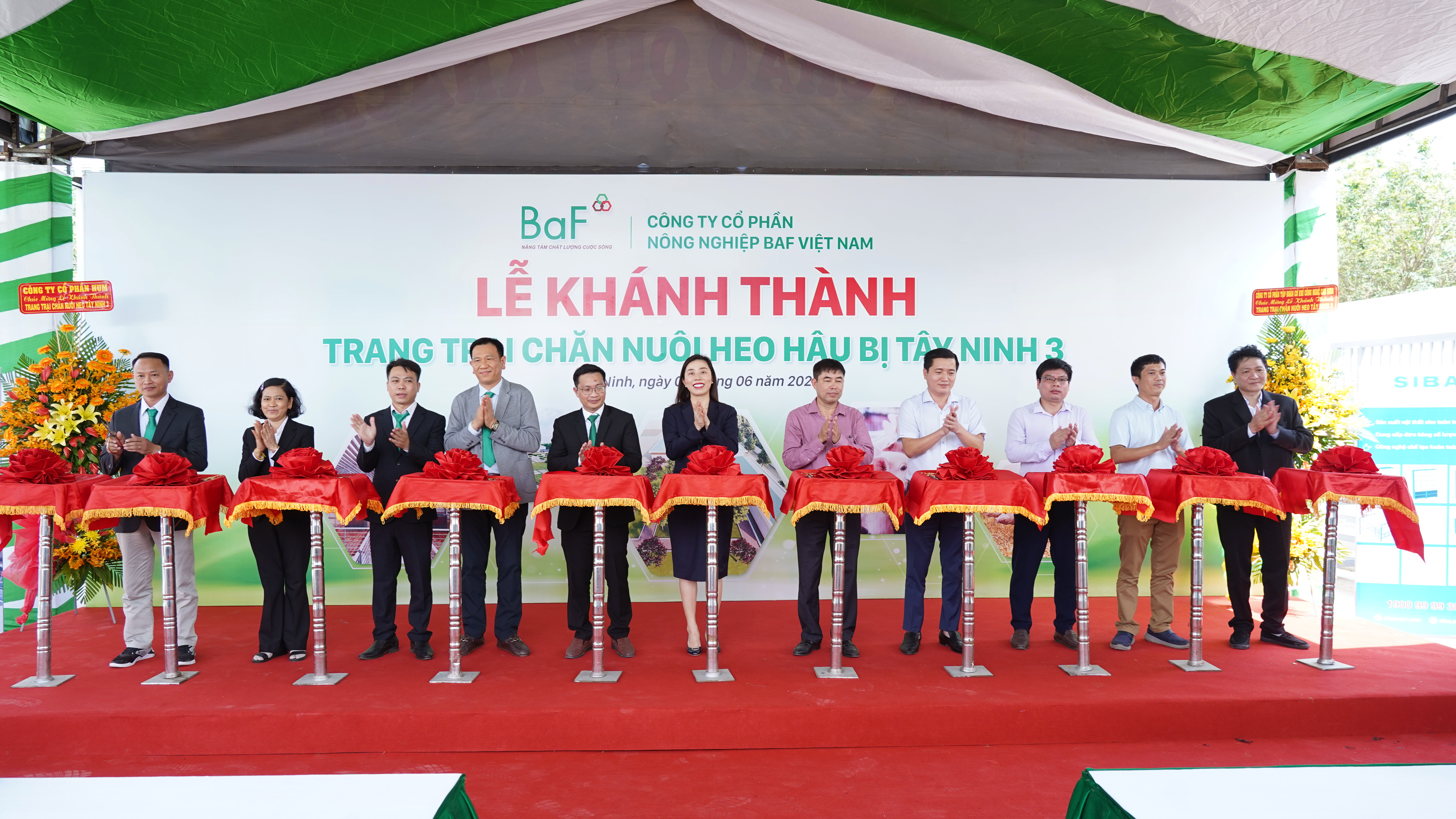 Ban Lãnh đạo Công ty BaF thực hiện nghi thức cắt băng khánh thành trang trại chăn nuôi heo hậu bị Tây Ninh 3.