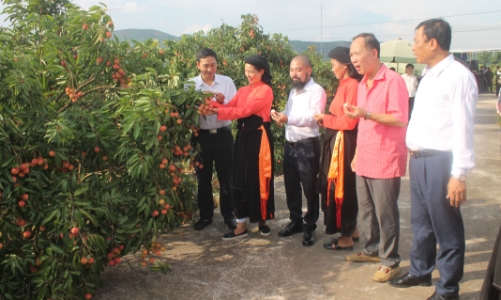 Vải thiều Lục Ngạn sẽ được ưu tiên 