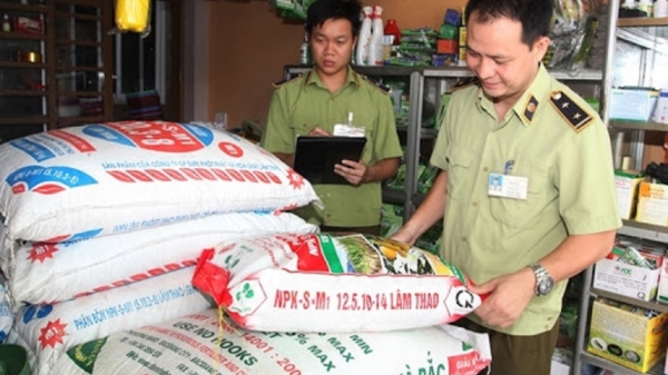 Loạn thị trường phân bón: Thật – giả lẫn lộn, nông dân khó lường