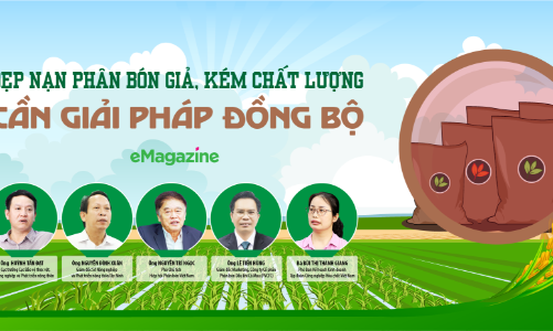 Dẹp nạn phân bón giả, kém chất lượng: Cần giải pháp đồng bộ 