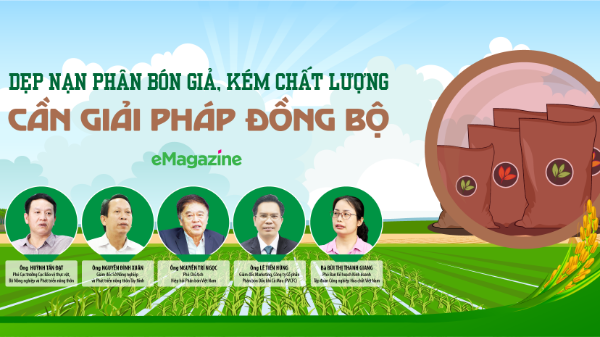 Dẹp nạn phân bón giả, kém chất lượng: Cần giải pháp đồng bộ 