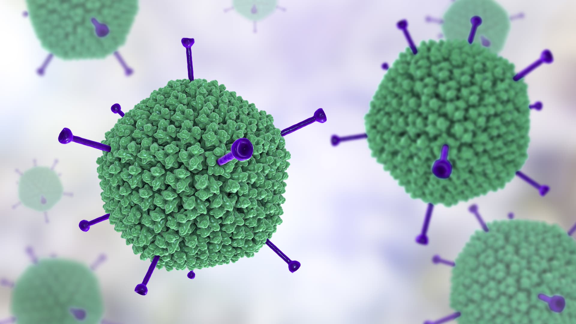 Các cuộc điều tra vẫn bám sát giả thuyết virus adeno 41F là nghi phạm gây ra tình trạng viêm gan hàng loạt chưa rõ nguyên nhân.