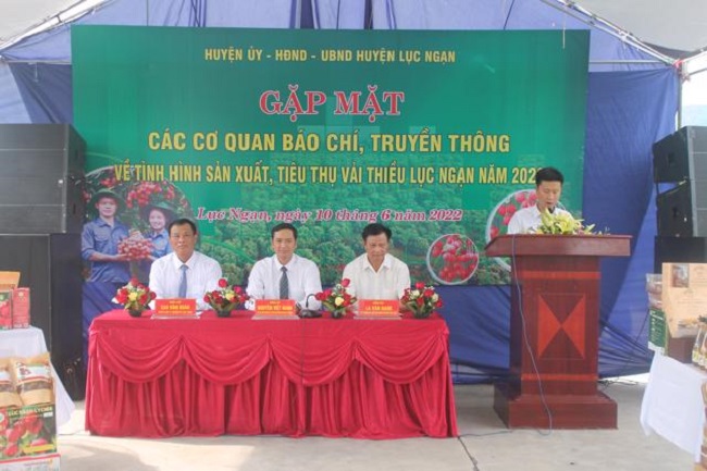 Huyện Lục Ngạn tổ chức họp b&aacute;o th&ocirc;ng tin về vụ vải thiều năm nay, v&agrave;o chiều 10/6/2022.