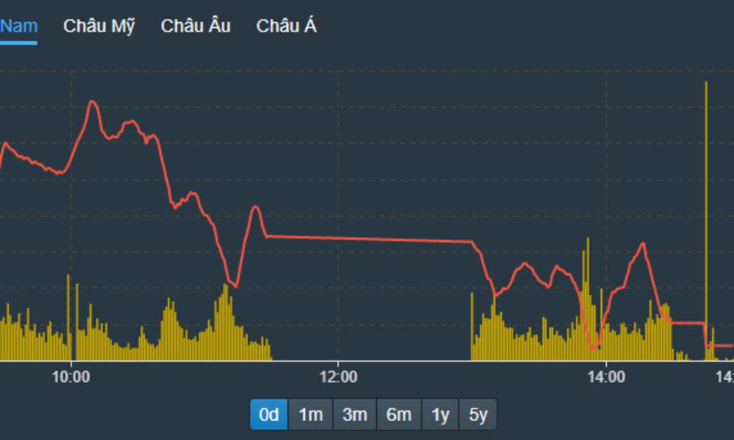 VN-Index nằm bẹp ở mức đáy cả buổi chiều, do cầu đã bốc hơi đáng kể và nhiều cổ phiếu không thể giảm thêm được nữa do chạm sàn.