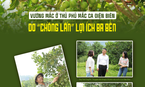 Vướng mắc ở thủ phủ mắc ca Điện Biên: Do “chồng lấn” lợi ích ba bên