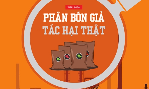 Tạp chí Kinh tế Việt Nam số 24-2022