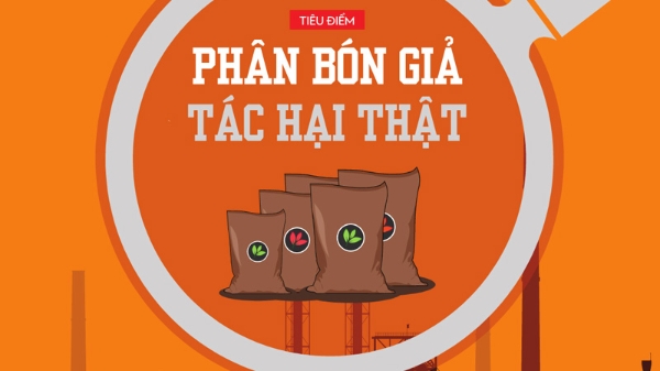 Tạp chí Kinh tế Việt Nam số 24-2022