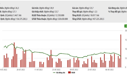 Không công bố báo cáo sử dụng vốn, Tasco bị phạt 60 triệu đồng