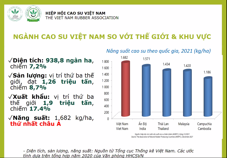 Xuất khẩu ngành cao su lên tới 9,5 tỷ USD, nhưng đối mặt nhiều thách thức - Ảnh 1