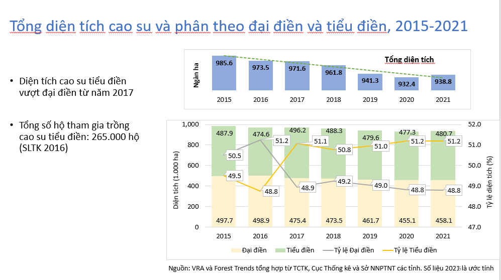 Xuất khẩu ngành cao su lên tới 9,5 tỷ USD, nhưng đối mặt nhiều thách thức - Ảnh 6