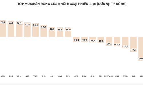 Khối ngoại tiếp tục ròng mạnh, tập trung vào HPG và VND