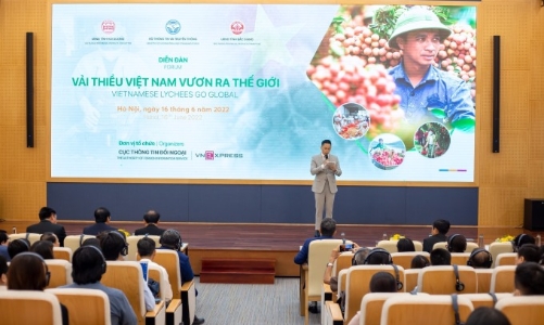 Nâng tầm thương hiệu để vải thiều Việt Nam 