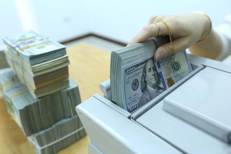 USD/VND exchange rate may fluctuate within 2% this year