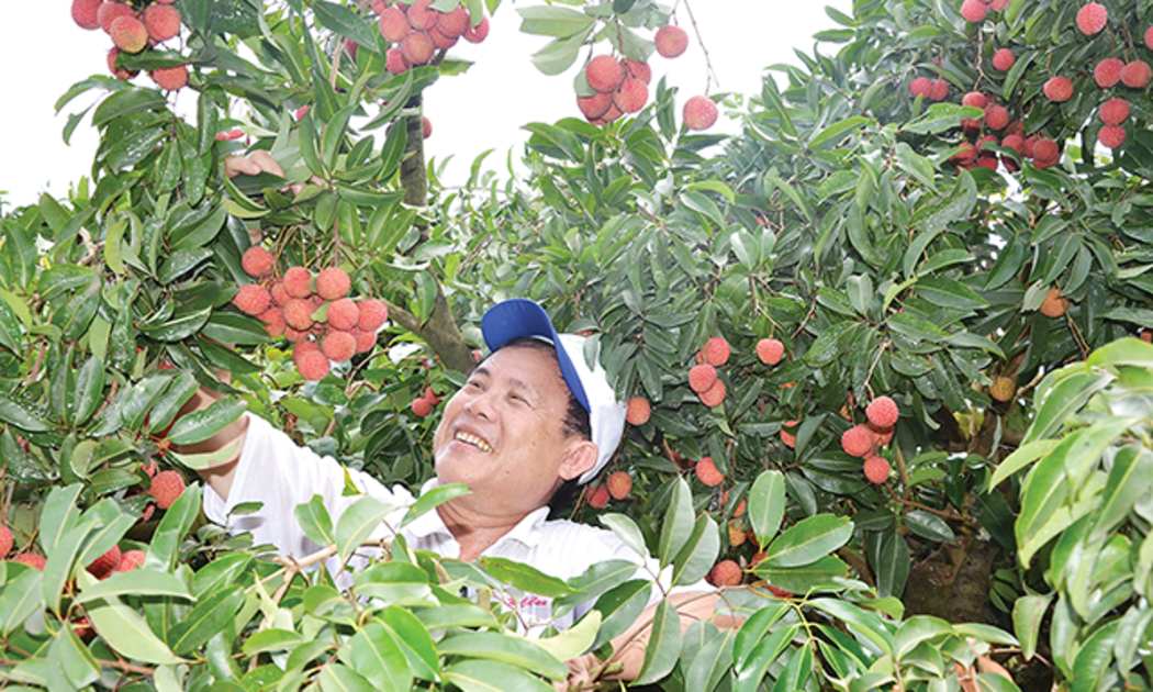 Nông dân cần sự đồng hành của báo chí