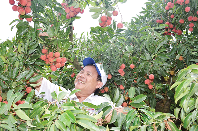 Nông dân cần sự đồng hành của báo chí