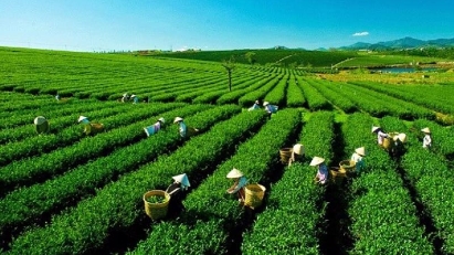 Trade between Vietnam and Americas short of potential