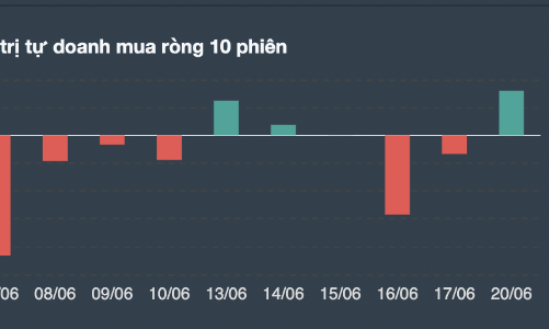 Tự doanh bắt đáy, cổ phiếu nào được gom nhiều nhất?