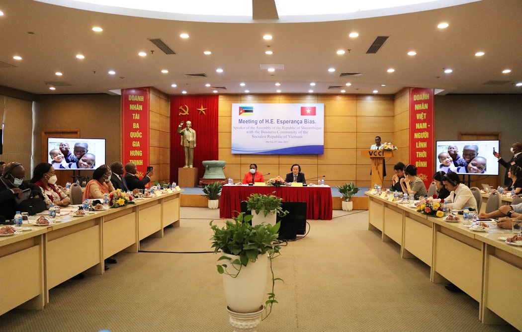 Quang cảnh hội thảo. Ảnh Vũ Khuê.