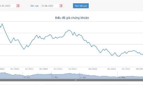 Giá giảm sâu, Phó Chủ tịch đăng ký mua vào 10 triệu cổ phiếu DIG