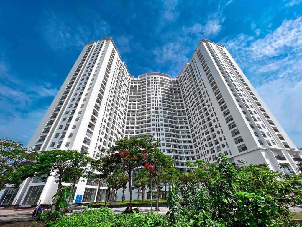 Mua căn hộ Tecco Diamond thời điểm n&agrave;y, cư d&acirc;n được nhận nh&agrave; ở ngay m&agrave; kh&ocirc;ng cần chờ đợi.