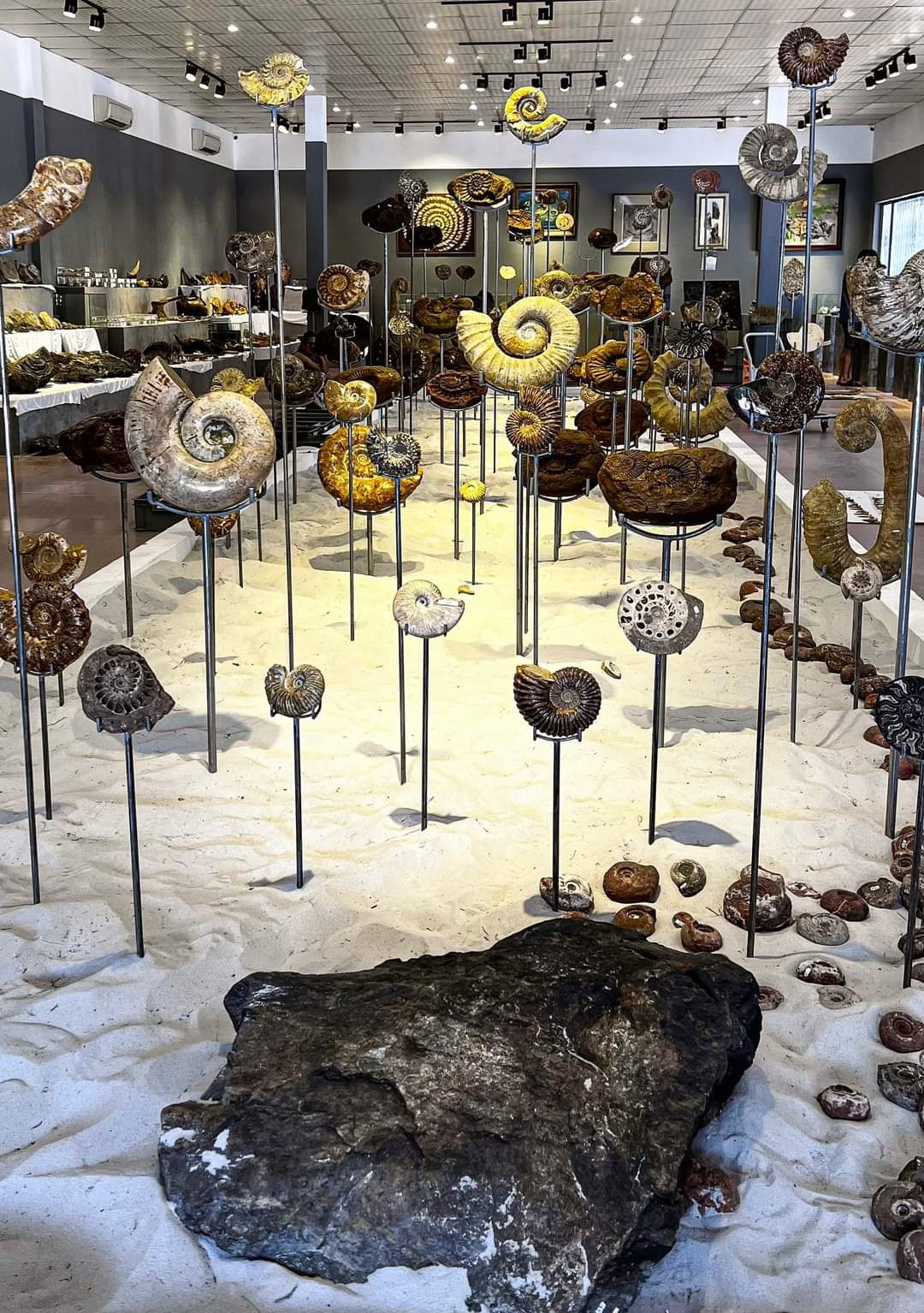 Ảnh:&nbsp;Trung t&acirc;m Bảo tồn Di t&iacute;ch Cố đ&ocirc; Huế.