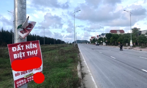 Nhu cầu tìm kiếm nhà đất giảm